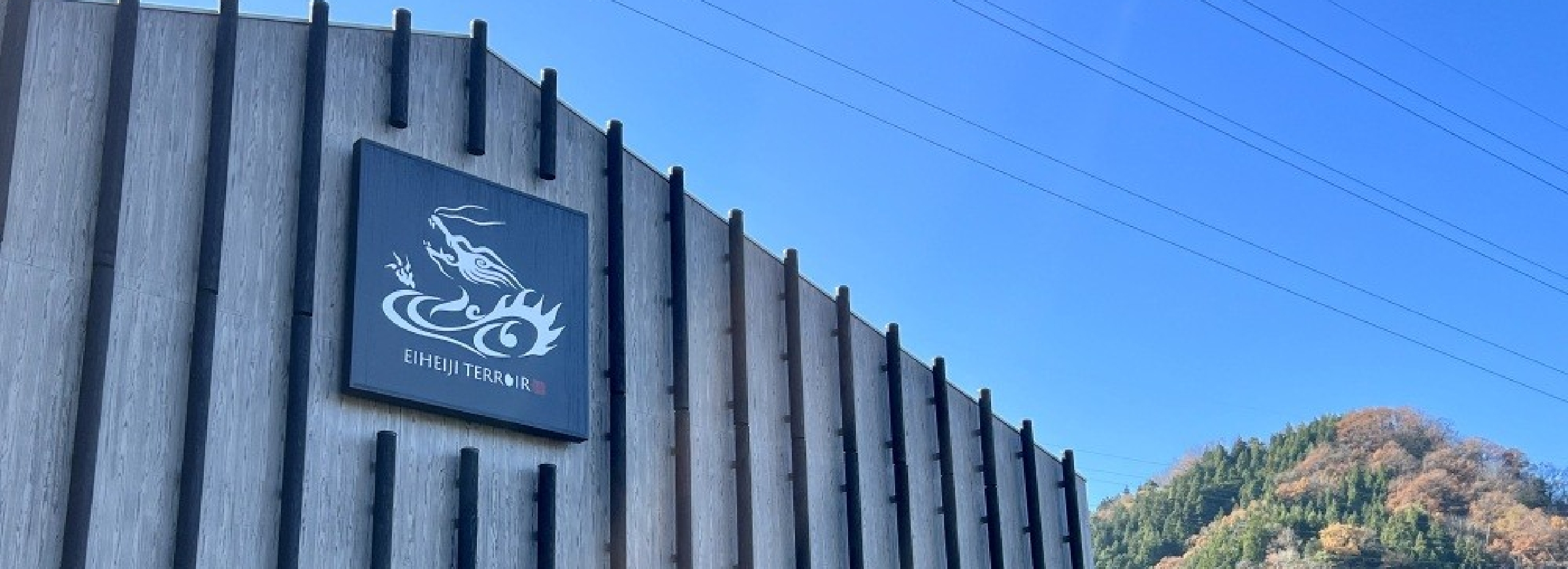 蔵見学・テイスティング